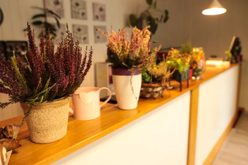 Empfangstheke mit dekorativen Heidepflanzen